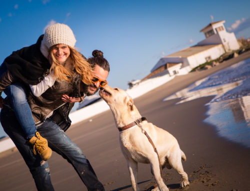 Preboda Cabopino: Lara&Juanki