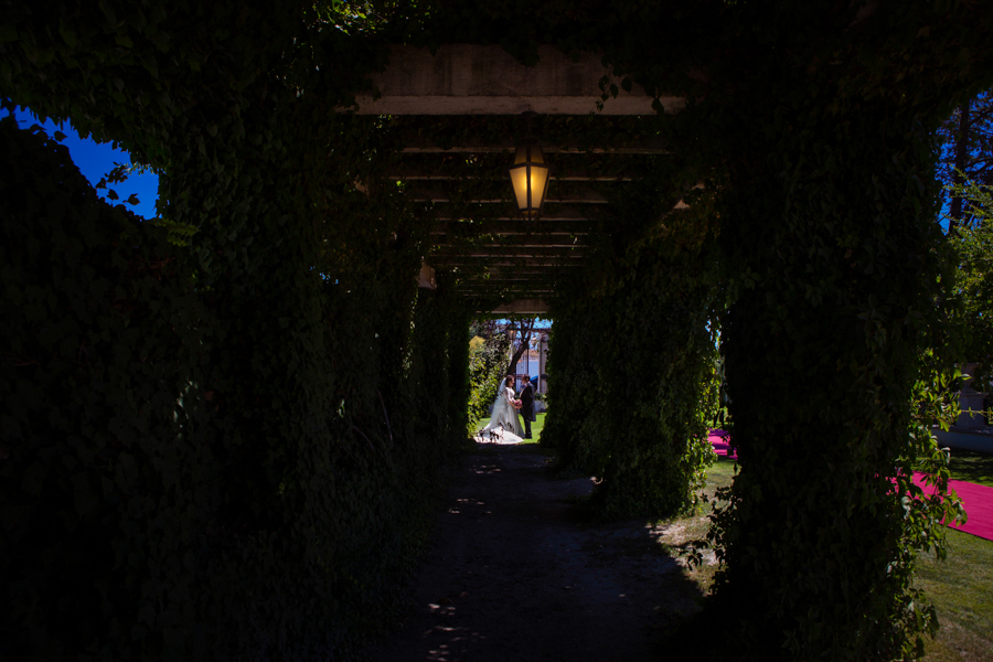 boda-basilica-angustias-caballo-blanco-035