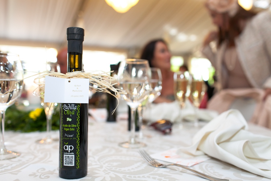 Boda en Granada. MªJosé y Robert