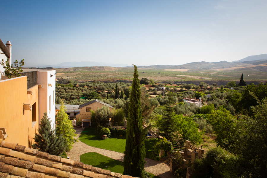 Boda en Granada: Caro y Fer