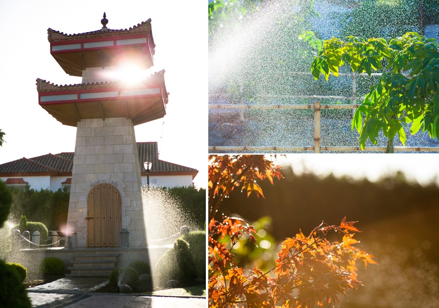 postboda,málaga,rock,flamenco,dobleenfoque