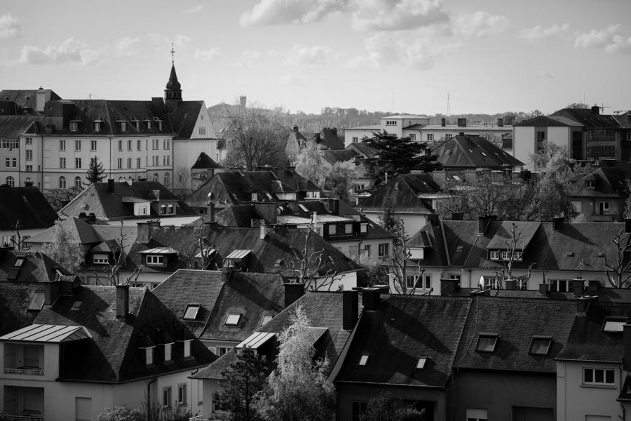Preboda en Luxemburgo: Caro y Fer